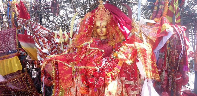 पाथीभरामा आज सात हजार बढी दर्शनार्थी
