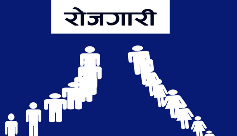 डिप्रोक्स लघुवित्तमा रोजगारको अवसर, योग्यता पुगेकाले आवेदन दिन सकिने