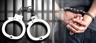 अपहरण र लुटपाटमा संलग्न  दुई जनालाई प्रहरीले पक्राउ
