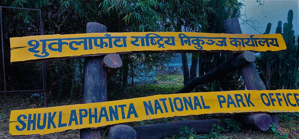 बाघ नियन्त्रणका लागि निकुञ्जको हात्ती र प्राविधिक टोली मैदानमा