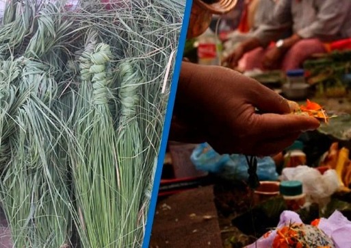 आज कुशे औंसी तथा बावुको मुख हेर्ने दिन, मोती जयन्ती मनाइँदै
