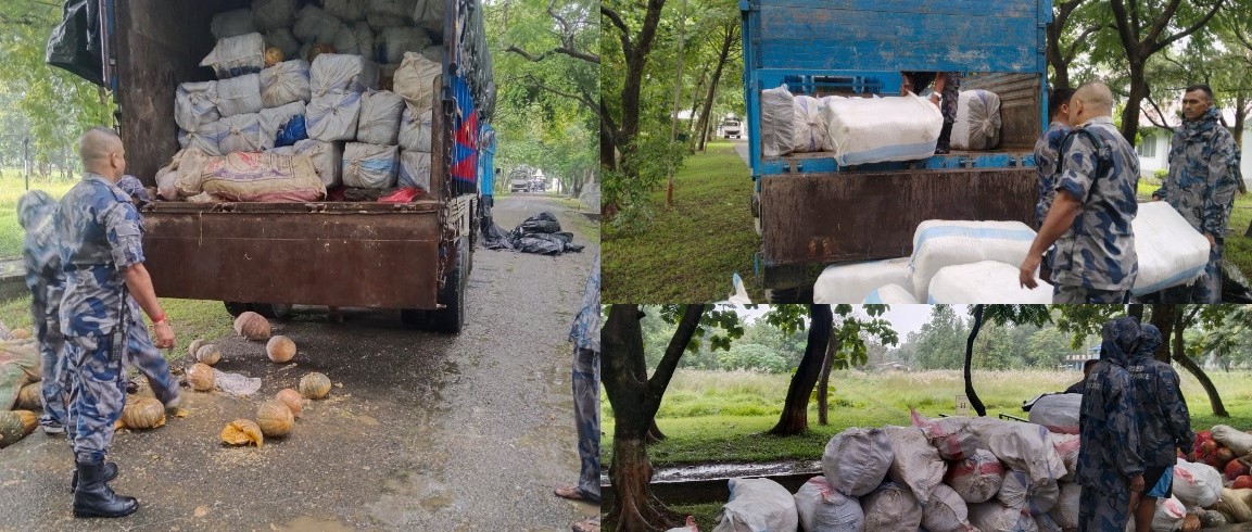 ५ हजार किलो गाँजा फेला, दुई ट्रकमा लुकाएर राखिएको अवस्थामा बरामद