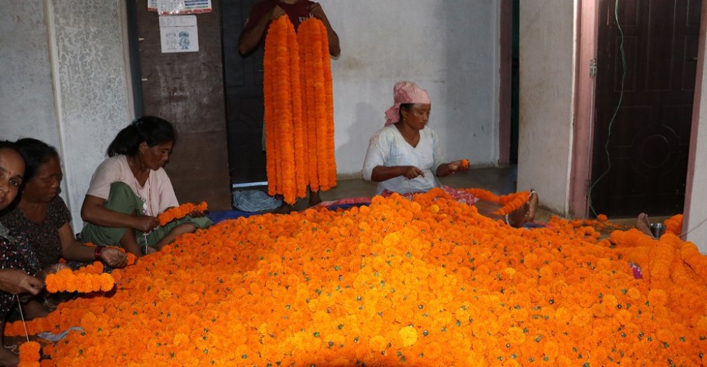 पुष्पखेती घट्दै गएपछि नेपालगञ्जमा फूलको अभाव
