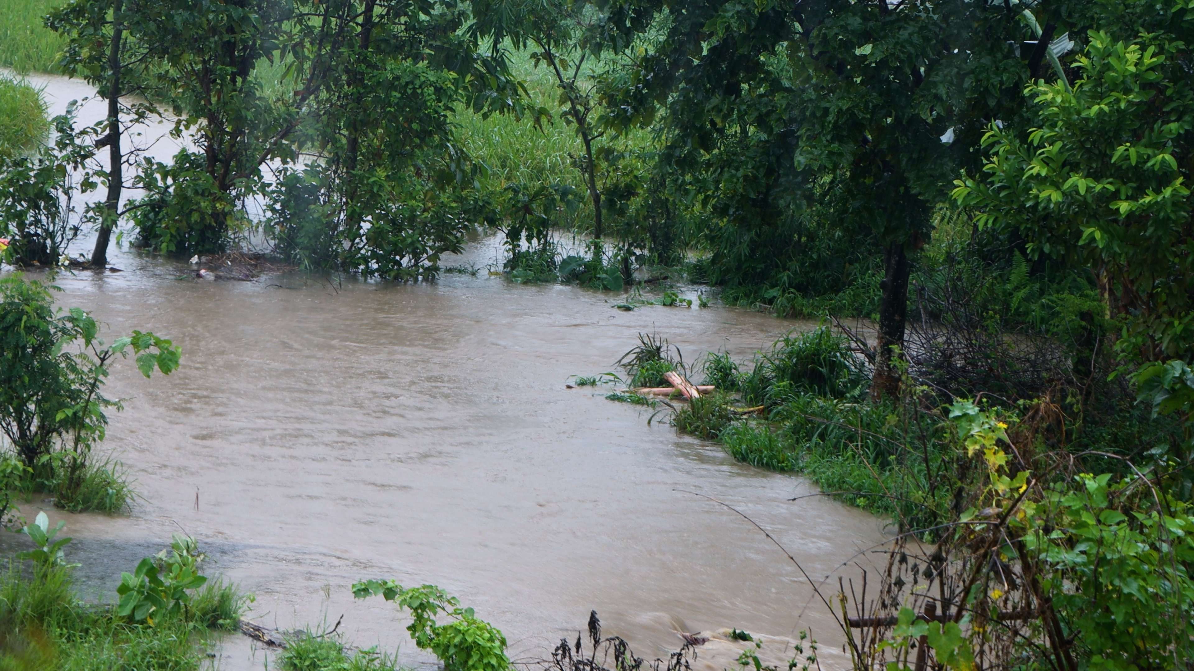 बेमौसमी वर्षाले कोशी प्रदेशको जनजीवन प्रभावित, किसान मारमा बेमौसमी वर्षाले कोशी प्रदेशको जनजीवन प्रभावित, किसान मारमा