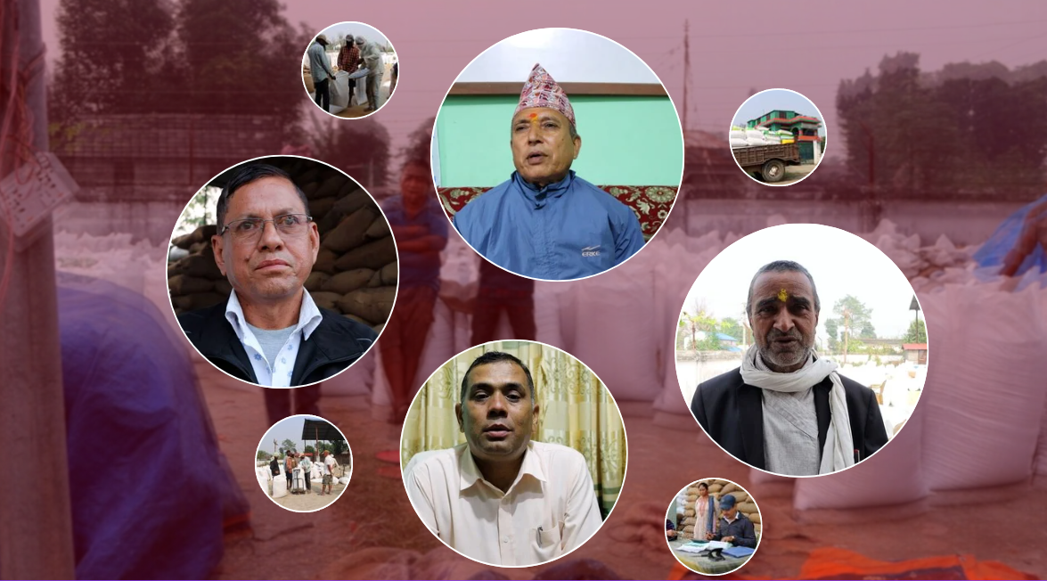 बर्दियामा सहकारीद्वारा समर्थन मूल्यमै धान खरिद, किसानलाई राहत बर्दियामा सहकारीद्वारा समर्थन मूल्यमै धान खरिद, किसानलाई राहत