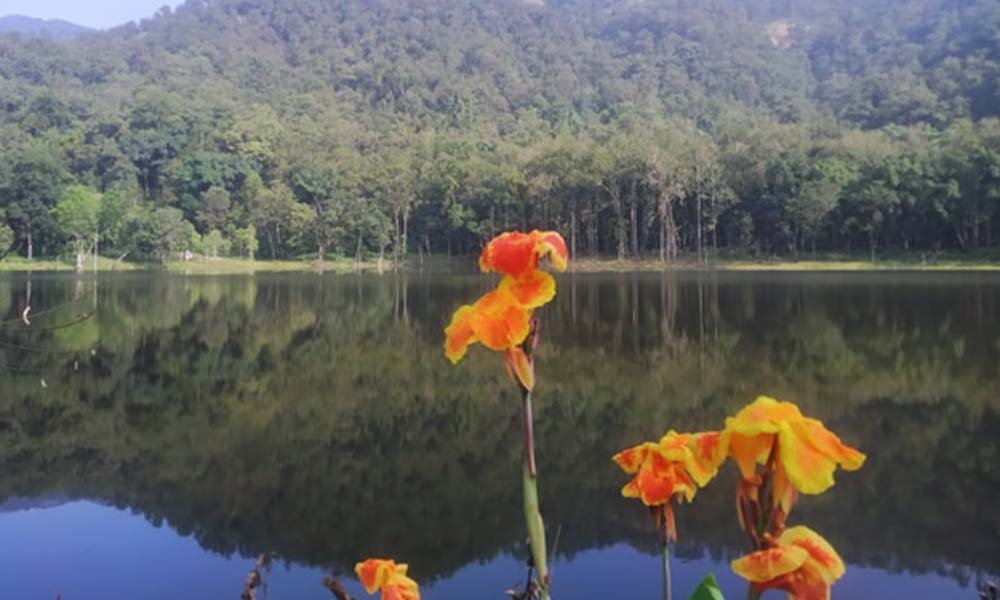 आहा ! आलिताल