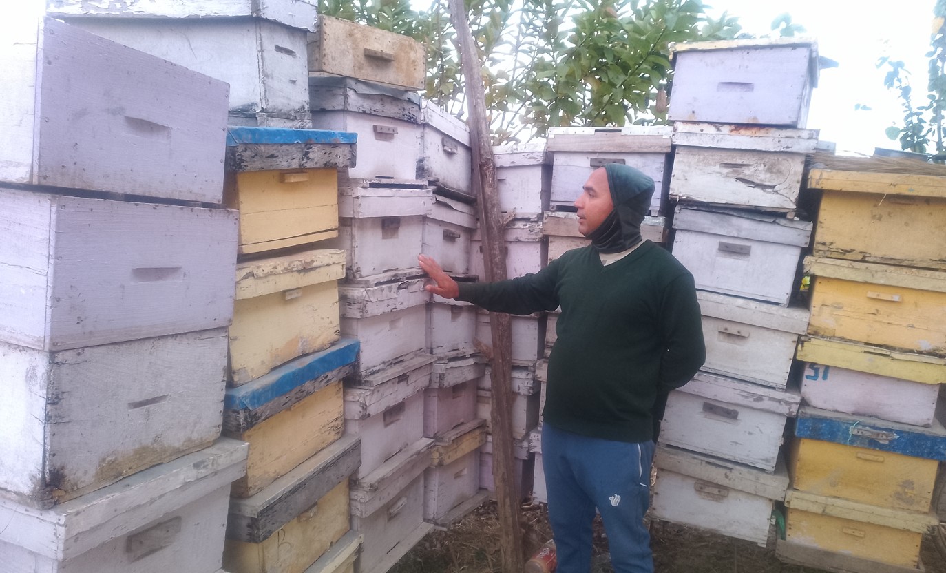 अवकाशपछिको जाँगरः मौरीपालनबाट मनग्य आम्दानी गर्दै घनश्याम अवकाशपछिको जाँगरः मौरीपालनबाट मनग्य आम्दानी गर्दै घनश्याम