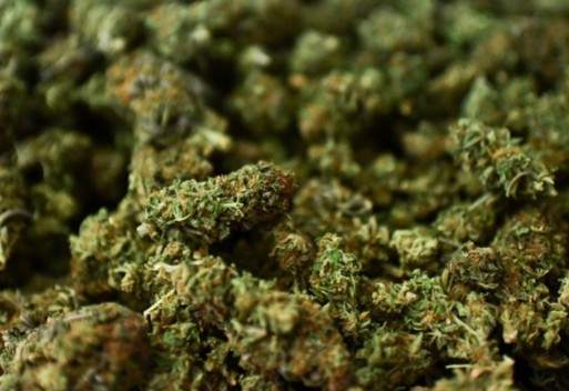 वेवारिसे अवस्थामा ९२१ किलो ६६ ग्राम गाँजा बरामद