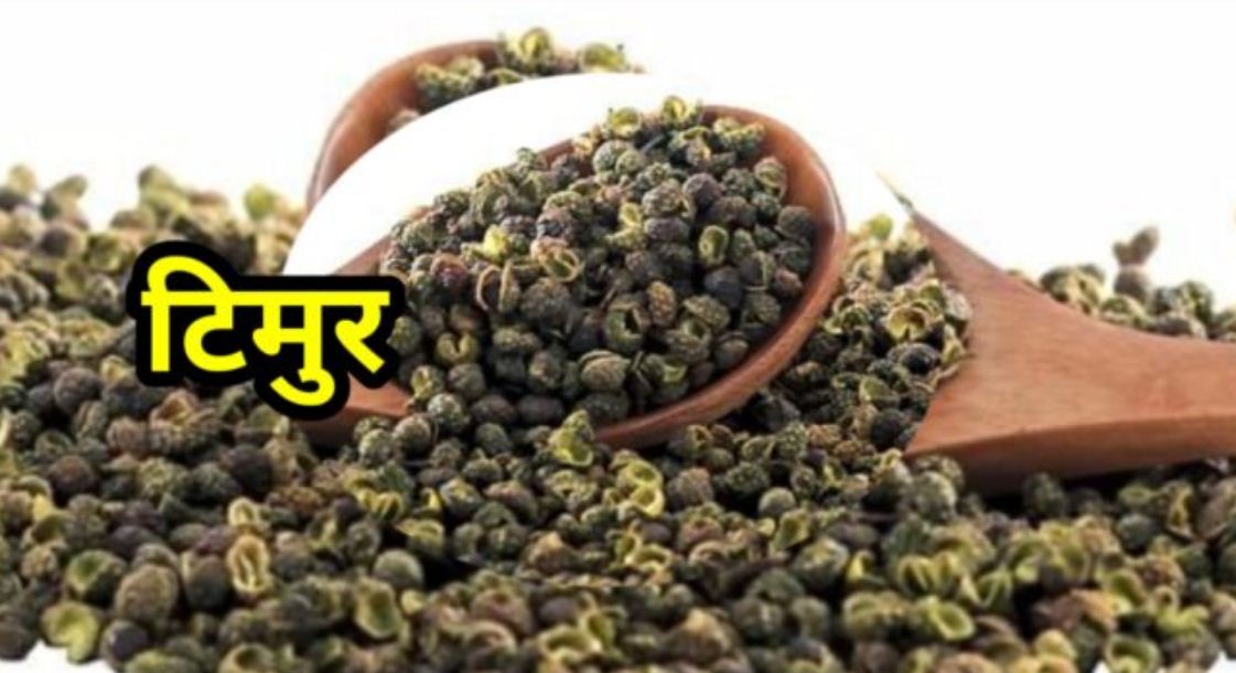 बर्दियामा साढे ४ क्विन्टल अवैध टिमुरसहित ट्रक चालक पक्राउ बर्दियामा साढे ४ क्विन्टल अवैध टिमुरसहित ट्रक चालक पक्राउ