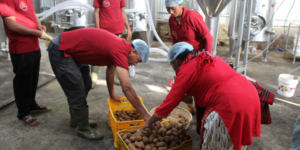 गाउँमै उद्योग थापना भएपछि किबी उत्पादन गर्ने किसानलाई राहत गाउँमै उद्योग थापना भएपछि किबी उत्पादन गर्ने किसानलाई राहत