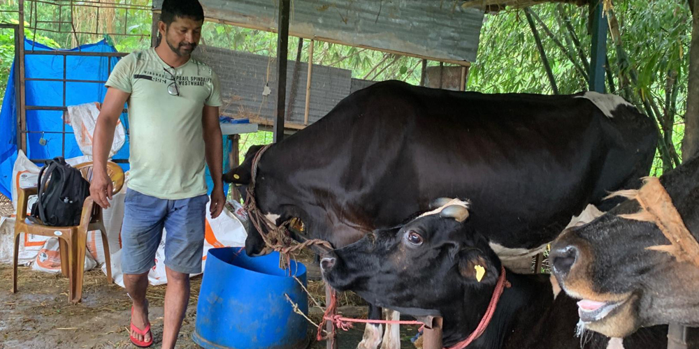 पसिनाका गन्धमा सफलता खोज्ने तिवारी पसिनाका गन्धमा सफलता खोज्ने तिवारी