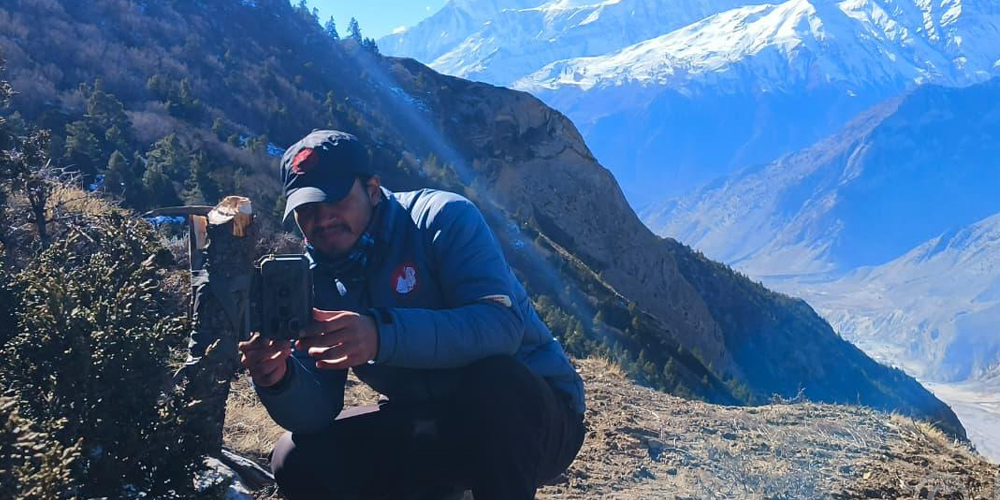 मुस्ताङमा हिउँ चितुवा अध्ययन गर्न ‘क्यामेरा ट्यापिङ’ गरिँदै मुस्ताङमा हिउँ चितुवा अध्ययन गर्न ‘क्यामेरा ट्यापिङ’ गरिँदै