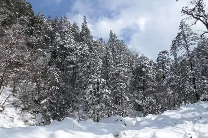 बाजुरामा पुनःबाक्लो हिमपात, जनजीवन कष्टकर