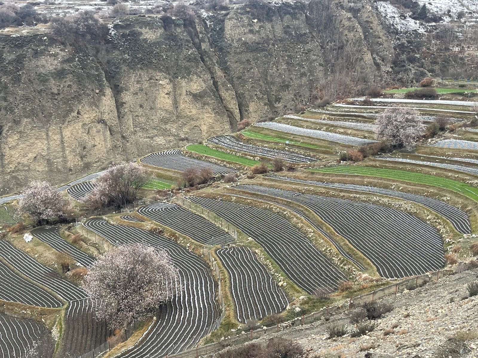 मुस्ताङमा पुनः हिमपात, पर्यटन व्यवसायी र कृषक उत्साहित