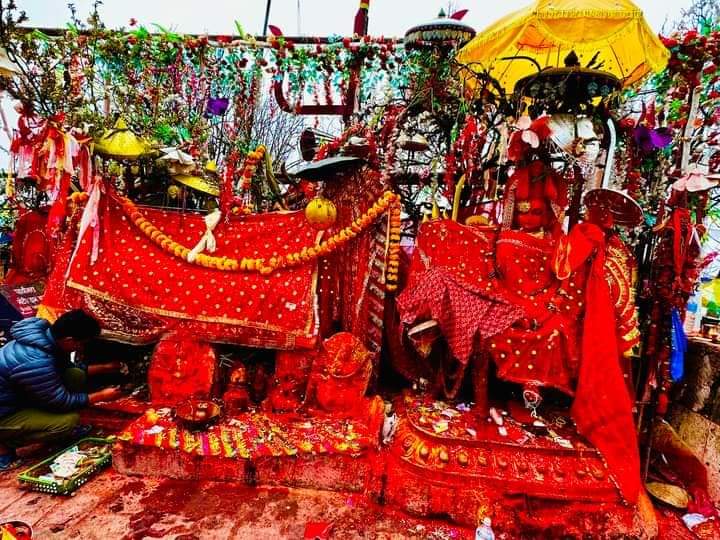 फागुनमा पाथीभरामा ३१ लाखभन्दा बढी भेटी सङ्कलन