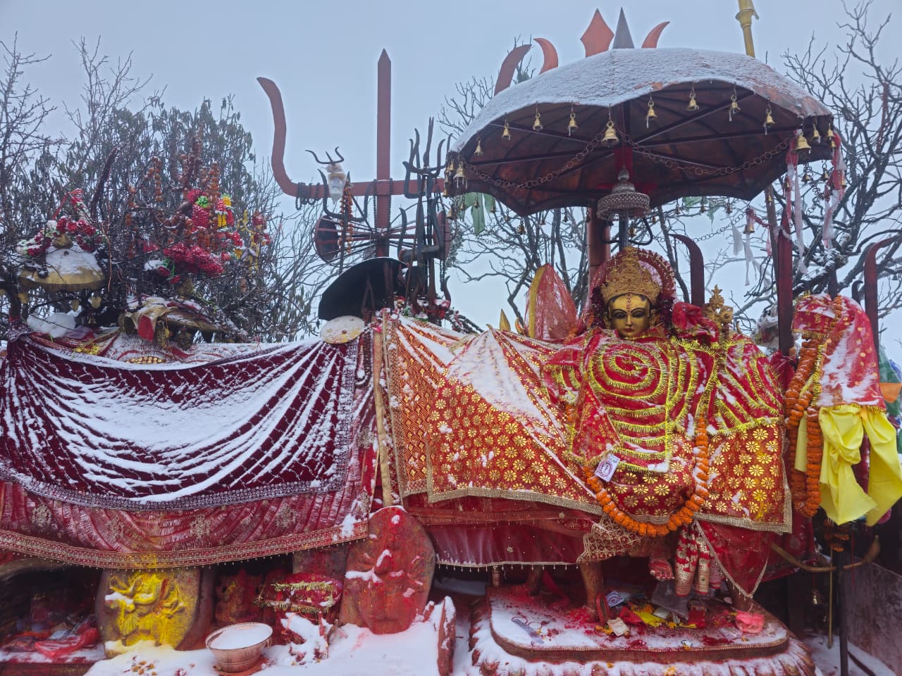 फागुनमा पाथीभरामा ३१ लाखभन्दा बढी भेटी सङ्कलन