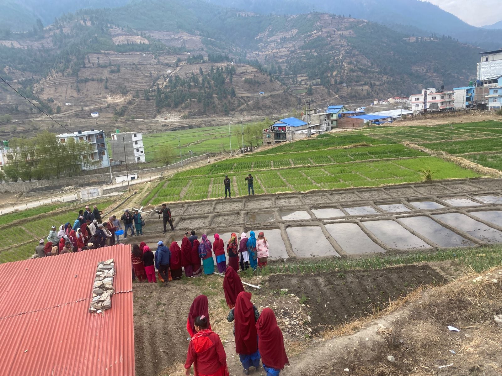 जुम्लामा धान दिवस :‘काली मार्सी’ संरक्षण र प्रवद्र्धनमा जोड