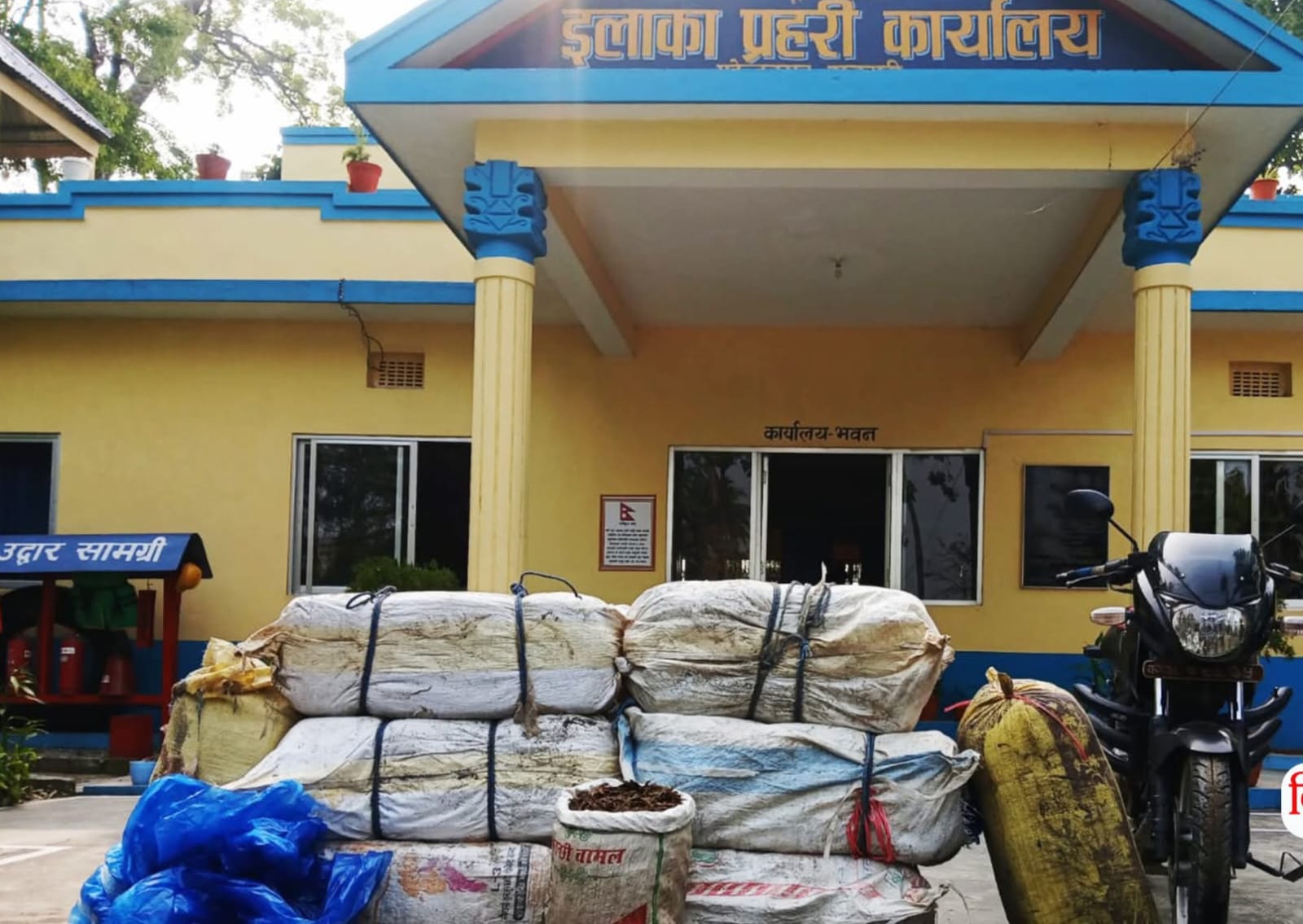 २ सय २५ केजी गाँजासहित २ जना पक्राउ