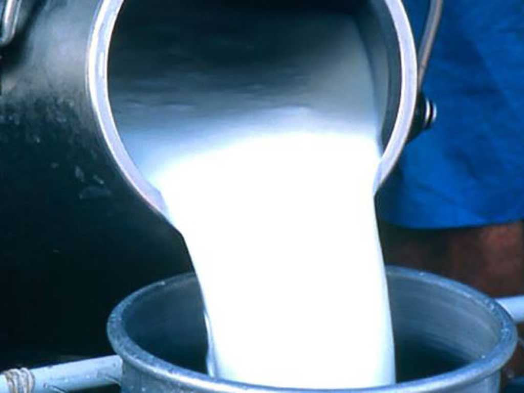 दूध किसानलाई १२ करोड रुपैयाँ भुक्तानी दूध किसानलाई १२ करोड रुपैयाँ भुक्तानी