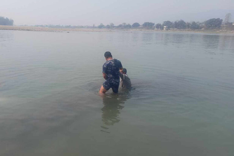 नारायणी नदिमा हाम फालेका व्यक्तिको सकुशल उद्धार