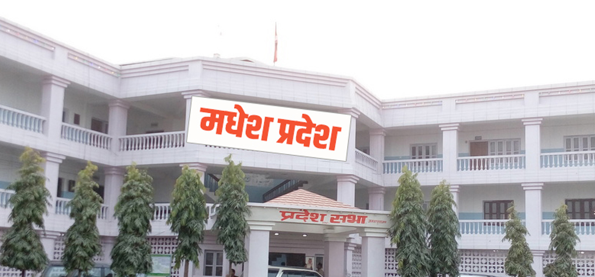 मधेस प्रदेशसभा बैठक बस्दै मधेस प्रदेशसभा बैठक बस्दै