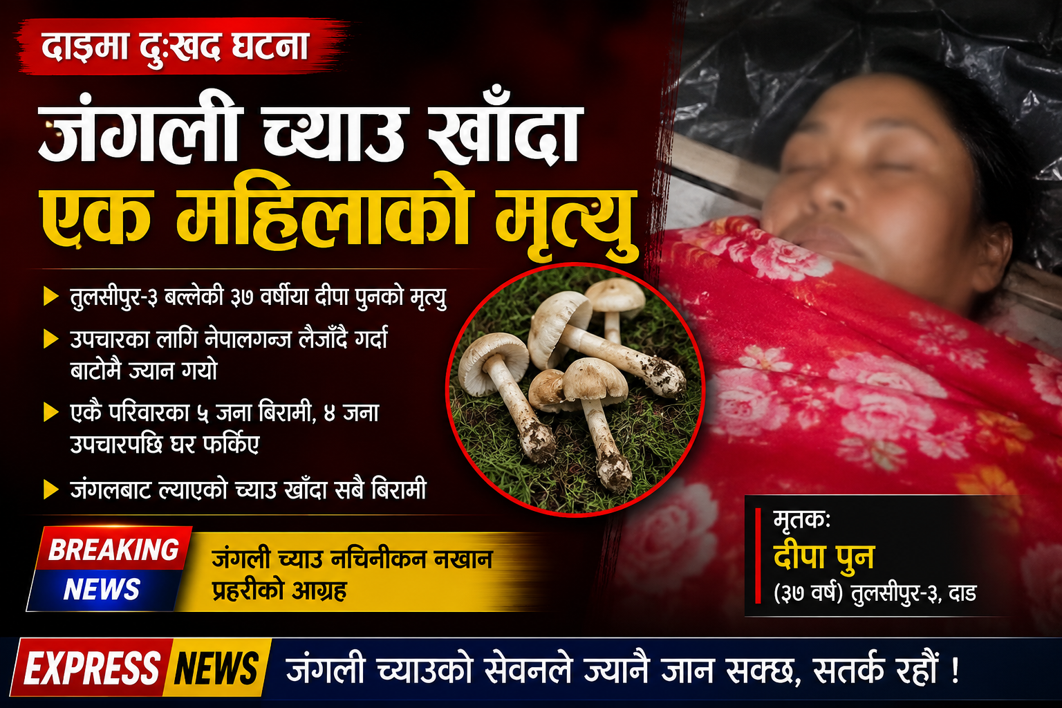 जंगली च्याउ खाँदा दाङमा एक महिलाको मृत्यु जंगली च्याउ खाँदा दाङमा एक महिलाको मृत्यु