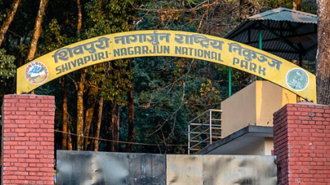 शिवपुरी–नागार्जुन राष्ट्रिय निकुञ्जमा अब ई–टिकेटिङ शिवपुरी–नागार्जुन राष्ट्रिय निकुञ्जमा अब ई–टिकेटिङ