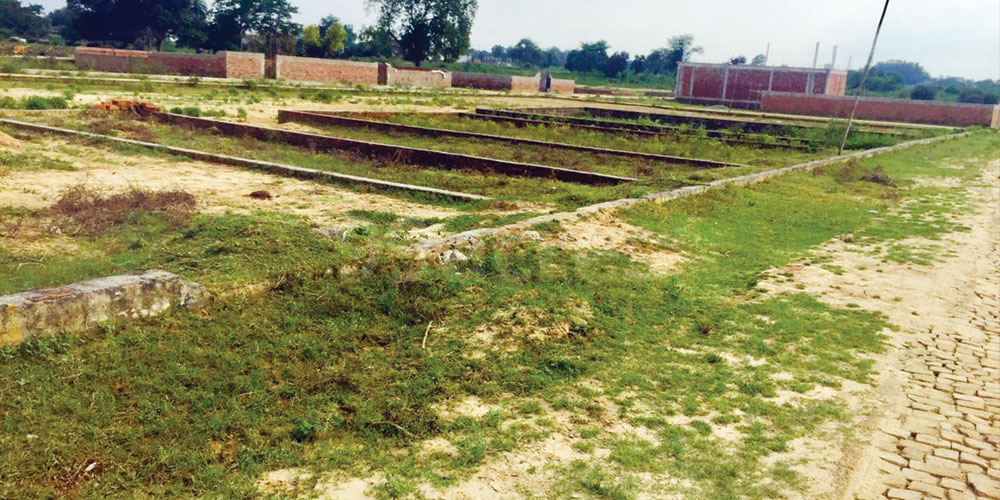 ४ सय १३ पालिकामा रोकिंदै , जग्गाको कित्ताकाट