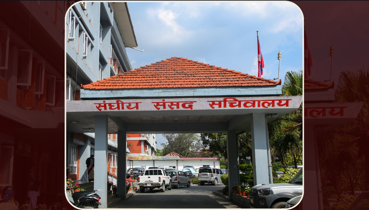 संघीय संसदका चार समितिको बैठक बस्दै, विभिन्न विषयमा छलफल हुने संघीय संसदका चार समितिको बैठक बस्दै, विभिन्न विषयमा छलफल हुने