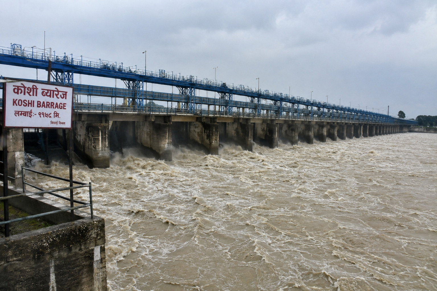 सप्तकोशीमा पानीको बहाव बढ्दै, ब्यारेजका २० ढोका खोलिए सप्तकोशीमा पानीको बहाव बढ्दै, ब्यारेजका २० ढोका खोलिए