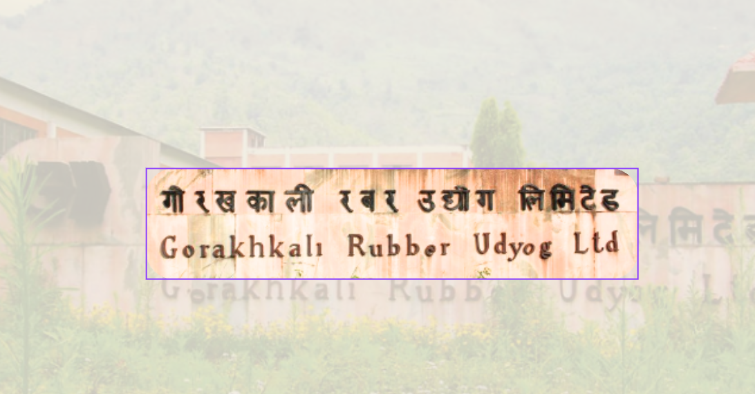 गोरखकाली रबर उद्योग सञ्चालनबारे अन्योल, चर्चा गरियो तर प्राथमिकतामा परेन् गोरखकाली रबर उद्योग सञ्चालनबारे अन्योल, चर्चा गरियो तर प्राथमिकतामा परेन्
