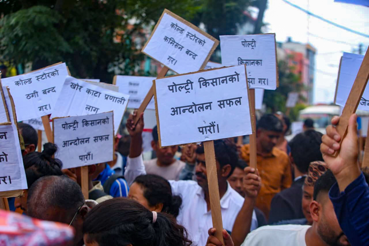 पोल्ट्री किसान माइतीघरमा, भारतीय कुखुरा तस्करीदेखि कमिसनसम्मको विरोध पोल्ट्री किसान माइतीघरमा, भारतीय कुखुरा तस्करीदेखि कमिसनसम्मको विरोध